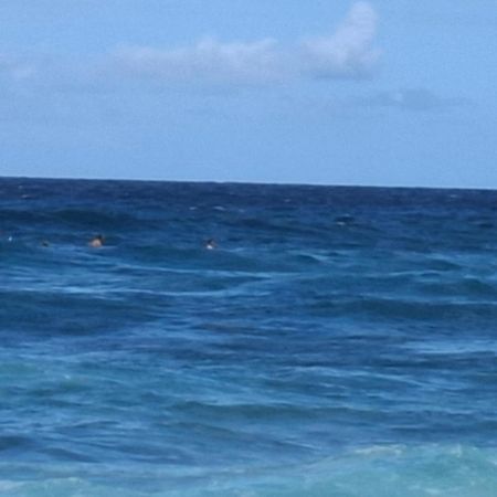 Cattleya Apartments Curacao วิลเลมสตัด ภายนอก รูปภาพ