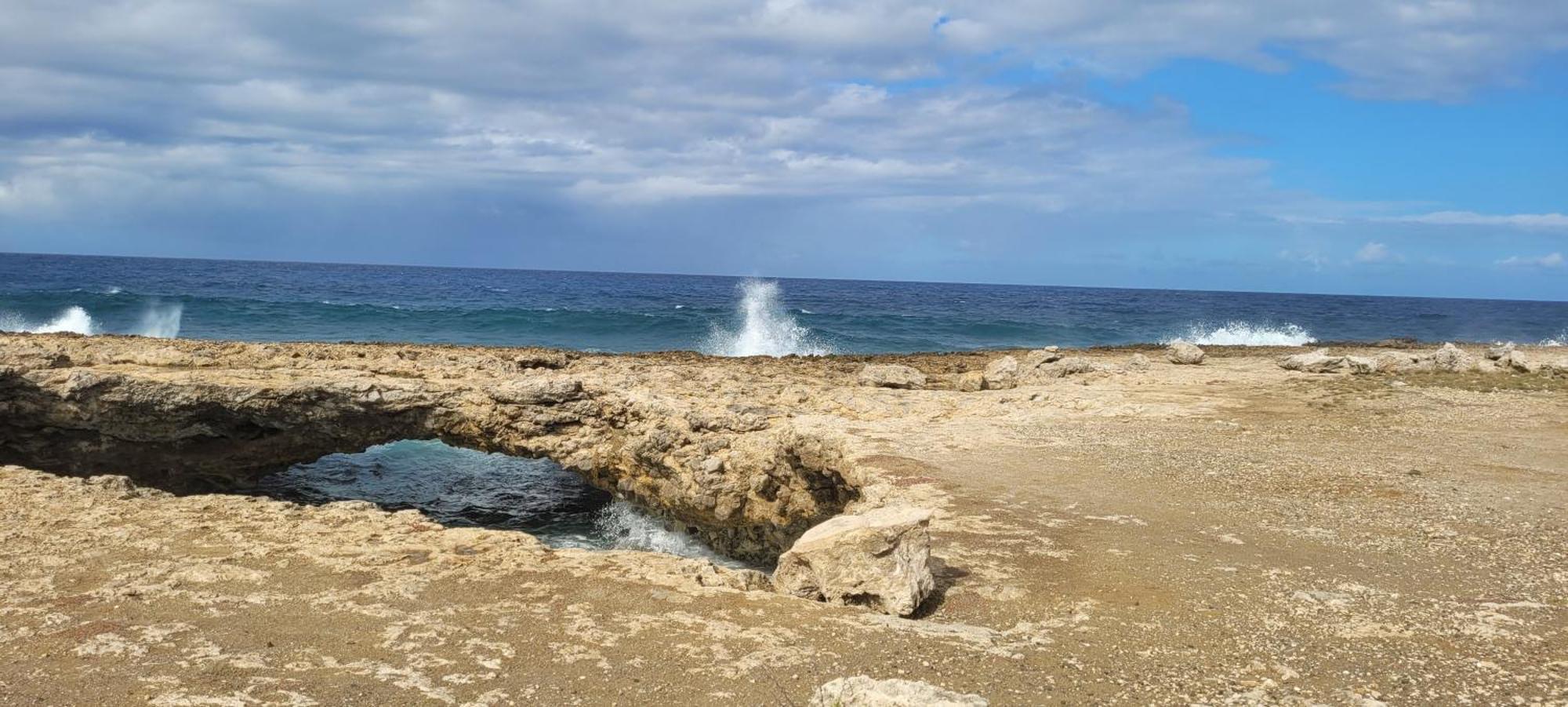 Cattleya Apartments Curacao วิลเลมสตัด ภายนอก รูปภาพ